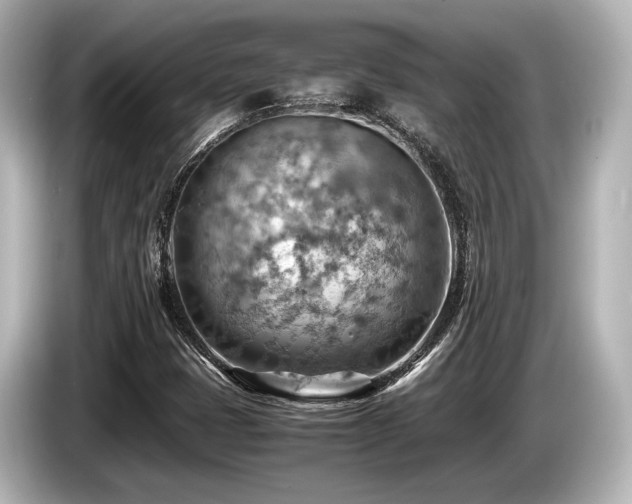 X0000085751401200703161044