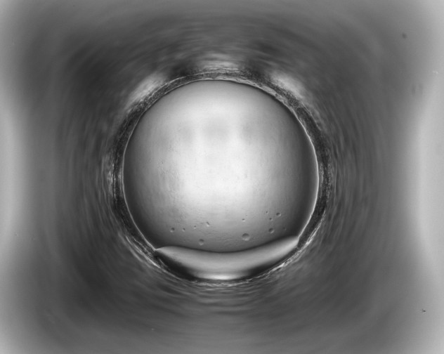 X0000085751403200703161044