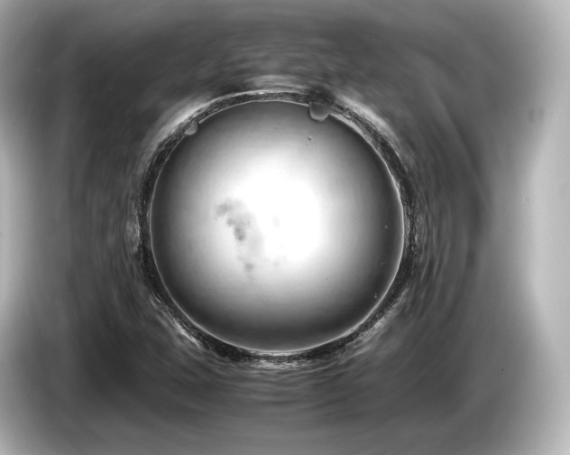 X0000085751407200703161044
