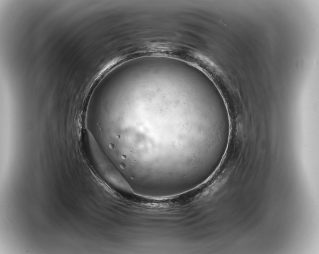 X0000085751409200703161044