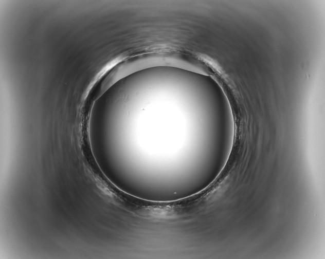 X0000085751410200703161044