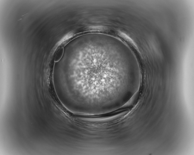 X0000085751411200703161044