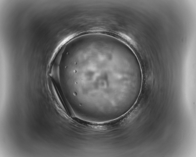 X0000085751413200703161044