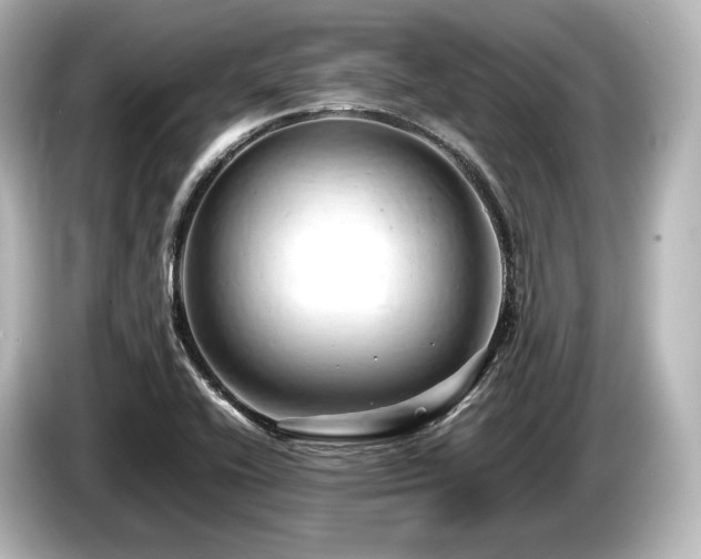 X0000085751416200703161044
