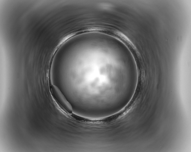 X0000085751417200703161044