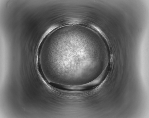 X0000085751418200703161044