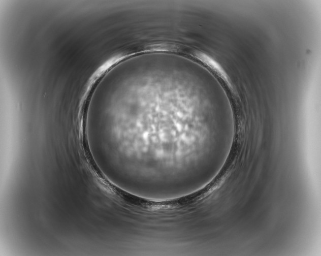 X0000085751419200703161044