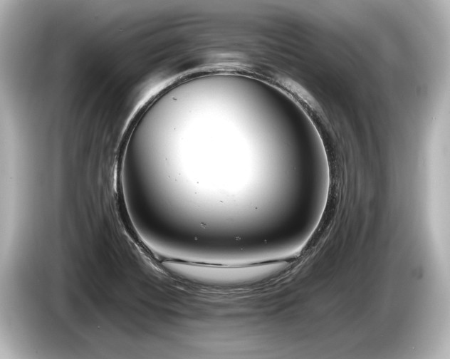 X0000085751420200703161044