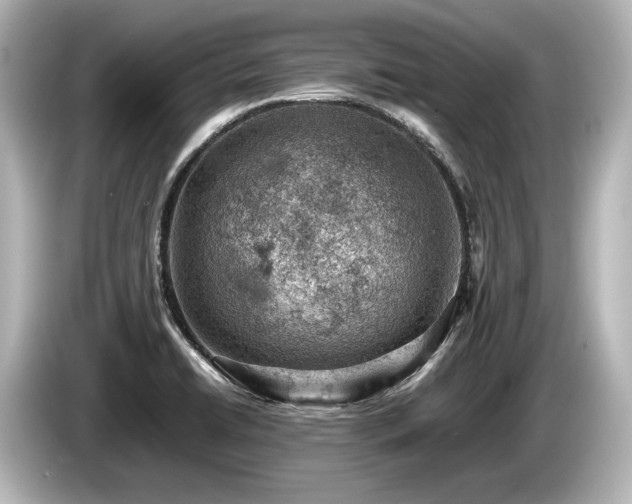 X0000085751422200703161044
