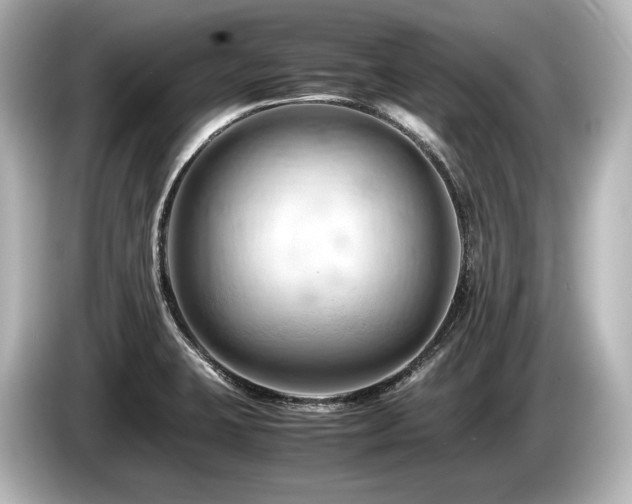 X0000085751423200703161044
