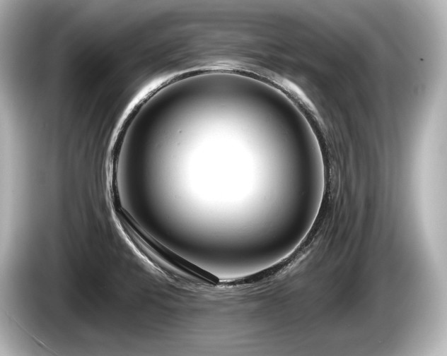 X0000085751424200703161044