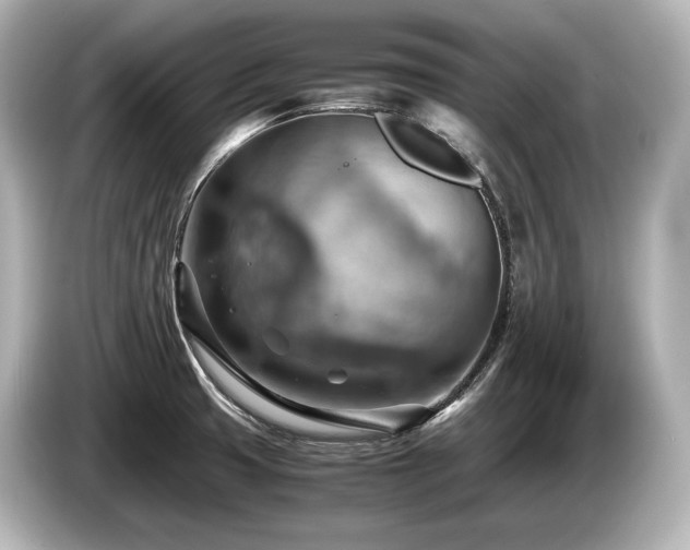 X0000085751425200703161044