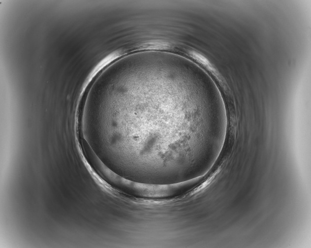 X0000085751426200703161044