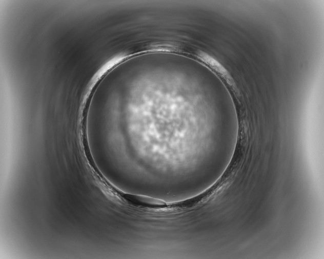 X0000085751427200703161044