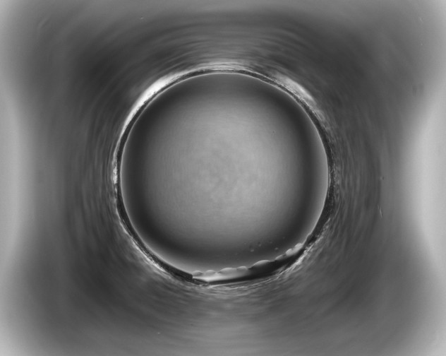 X0000085751428200703161044