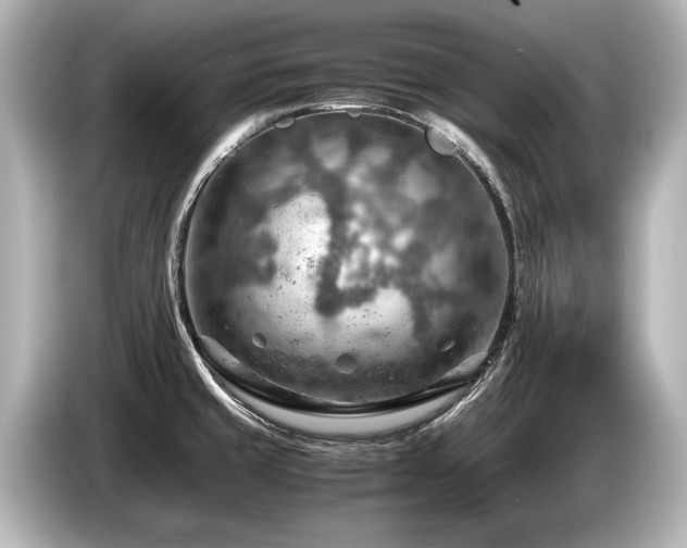 X0000085751429200703161044