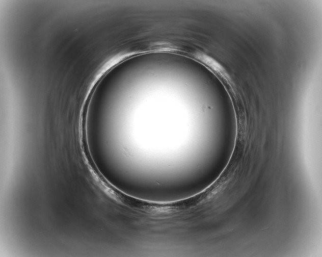 X0000085751431200703161044