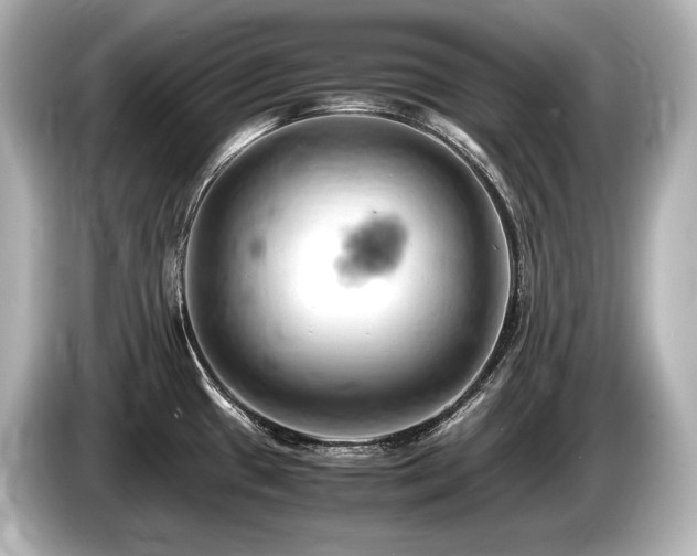 X0000085751433200703161044