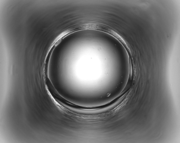 X0000085751434200703161044