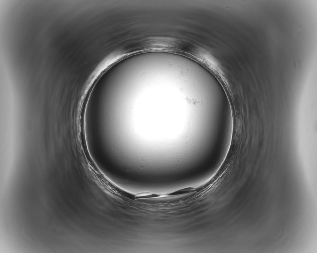X0000085751435200703161044