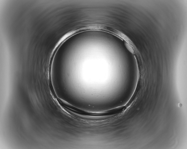 X0000085751436200703161044