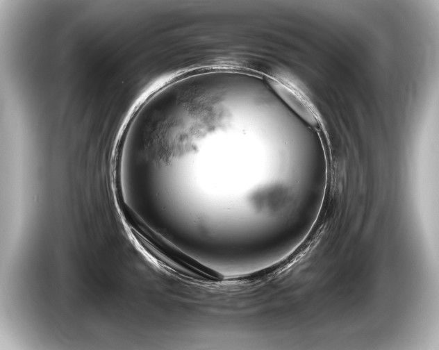X0000085751437200703161044