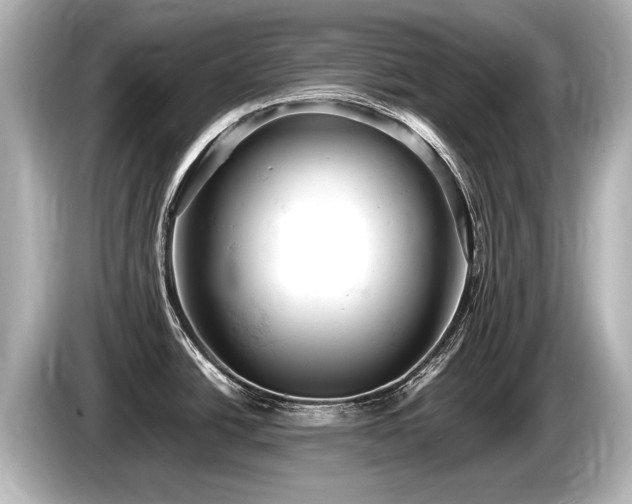 X0000085751438200703161044