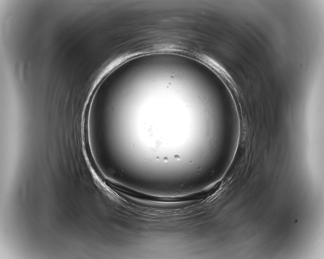 X0000085751439200703161044
