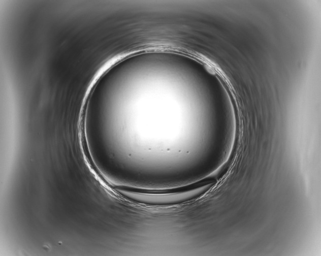 X0000085751440200703161044