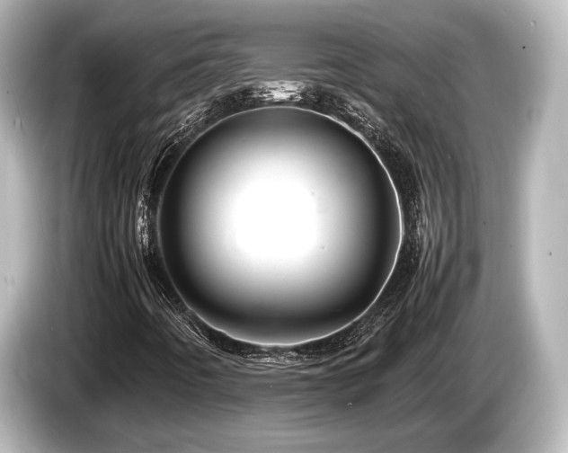 X0000085751442200703161043