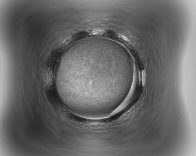 X0000085751443200703161043