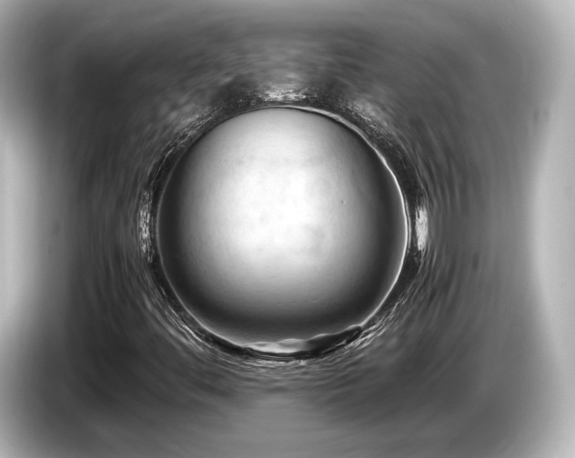 X0000085751444200703161043