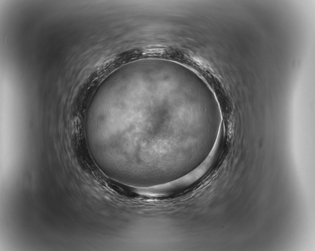 X0000085751445200703161043