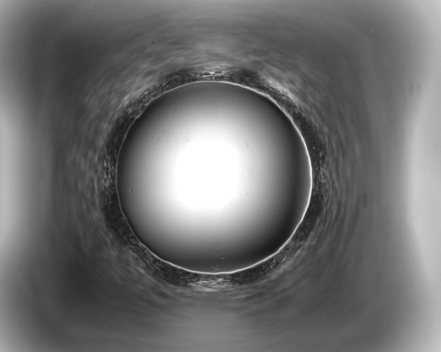X0000085751447200703161043
