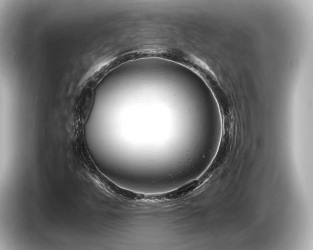 X0000085751448200703161043