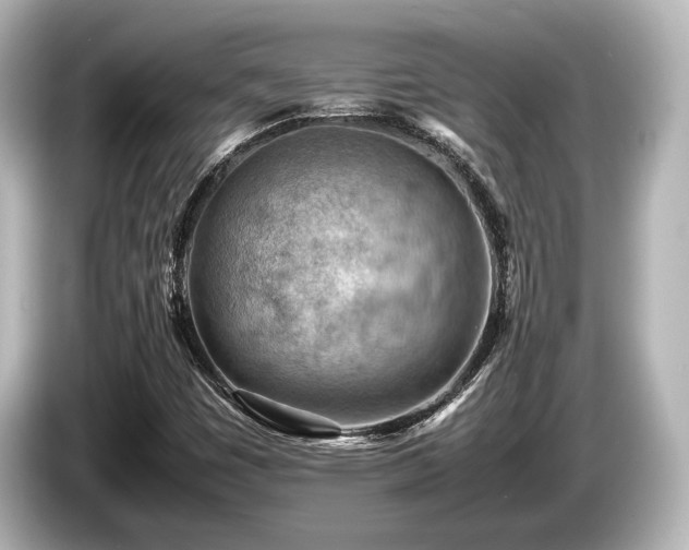 X0000085751449200703161043