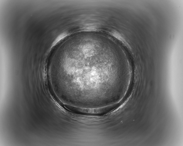 X0000085751450200703161043