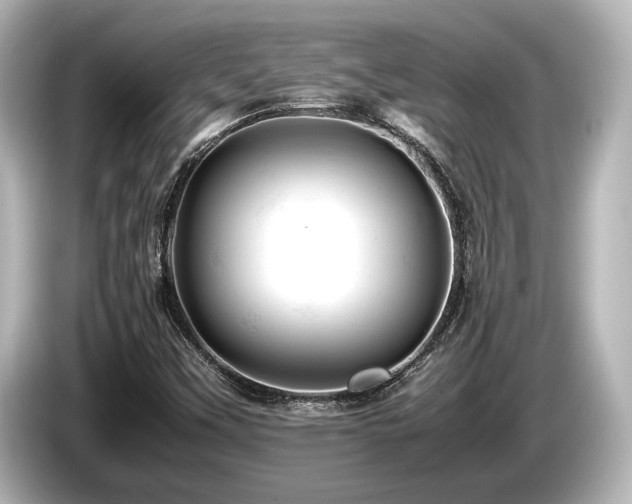 X0000085751451200703161043