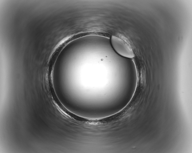 X0000085751452200703161043