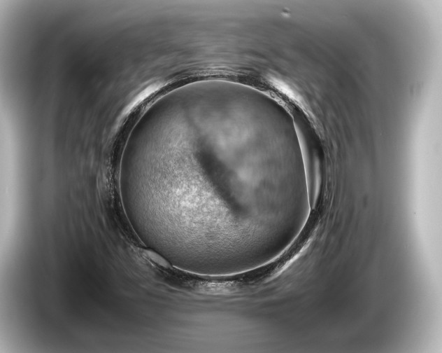 X0000085751453200703161043