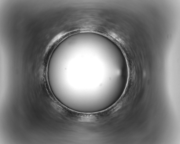 X0000085751454200703161043