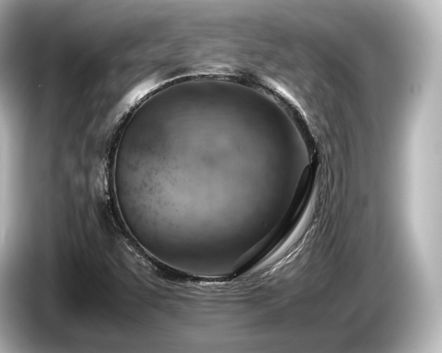 X0000085751455200703161043