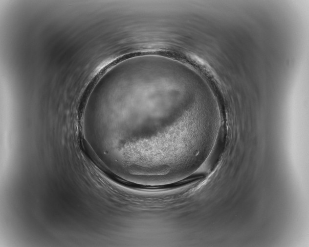 X0000085751457200703161043