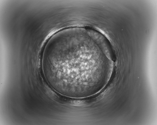 X0000085751459200703161043