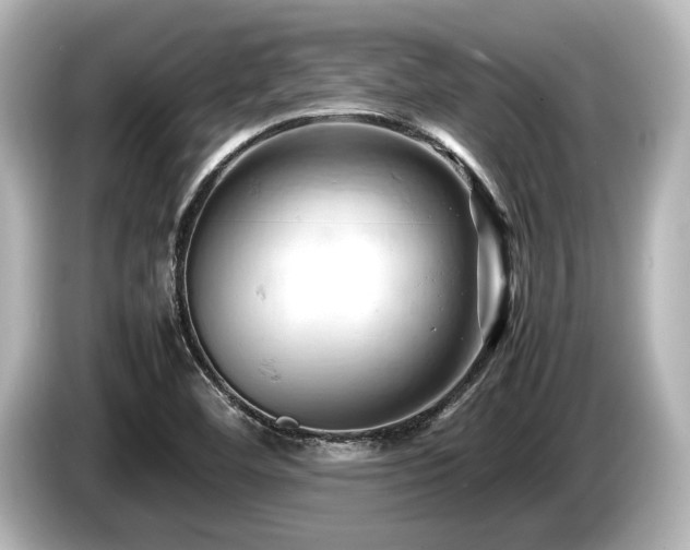 X0000085751460200703161043