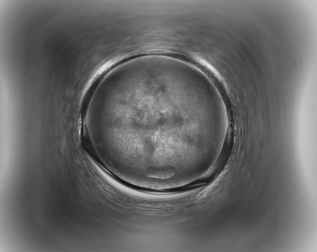 X0000085751461200703161043