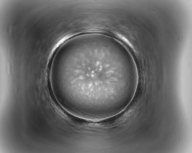 X0000085751463200703161043