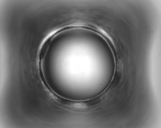 X0000085751464200703161043