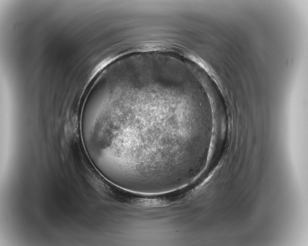 X0000085751465200703161043