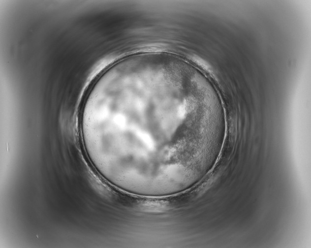 X0000085751466200703161043